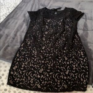 Loft Maternity lace cocktail dress